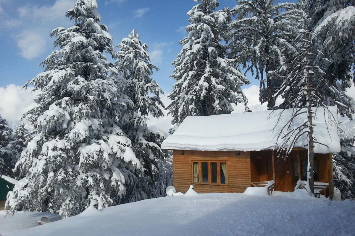 Arcadian Sprucewoods Hotel Shogran Exterior photo